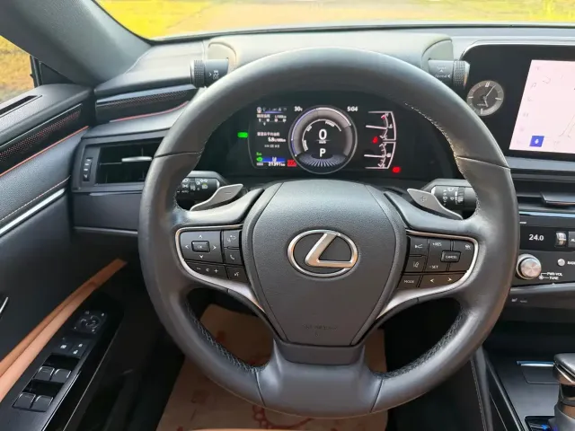 Lexus Lexus ES 2022 300h Excellence Edition — Фото автомобиля 14