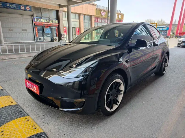 Tesla Model Y — Фото автомобиля 3