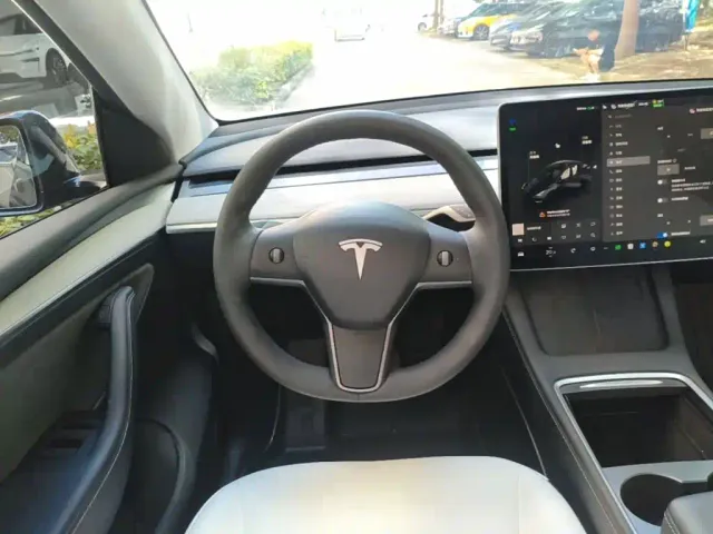 Tesla Model Y — Фото автомобиля 10
