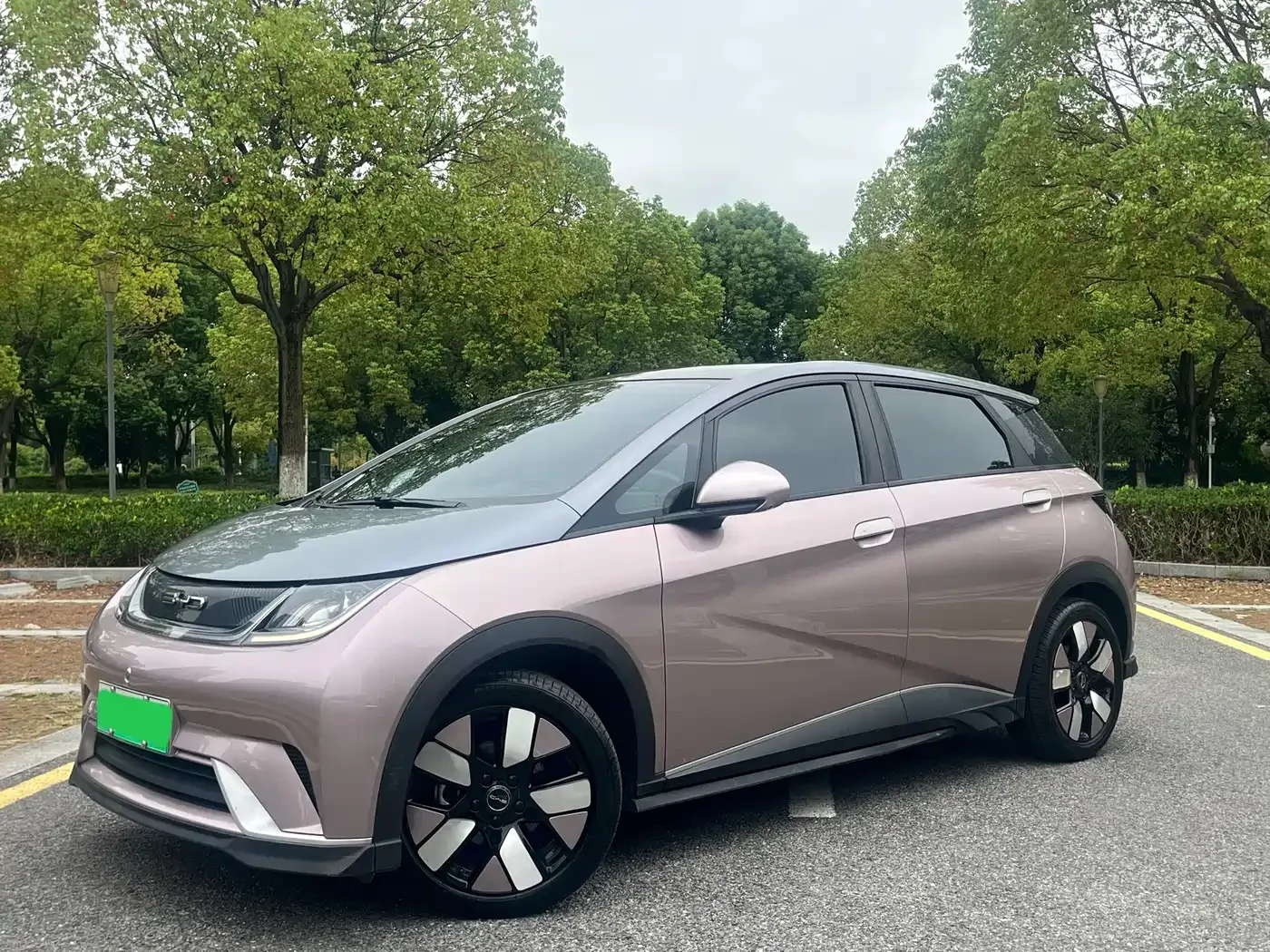 Фотография автомобиля — BYD Dolphin