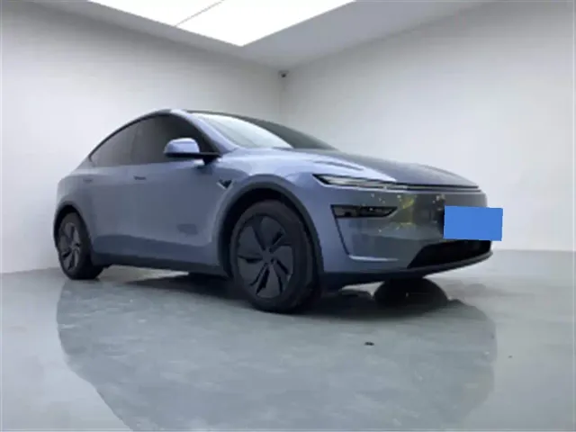 Tesla Model Y — Фото автомобиля 3