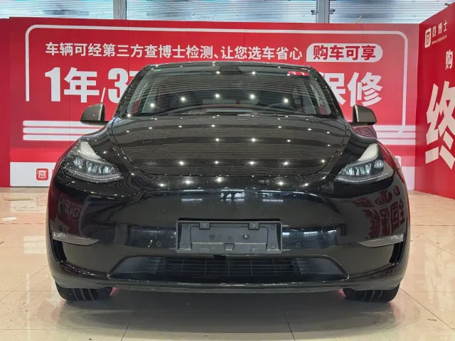 Tesla Model Y — Фото автомобиля 2