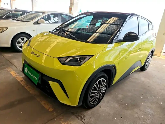 Фотография автомобиля — BYD Seagull