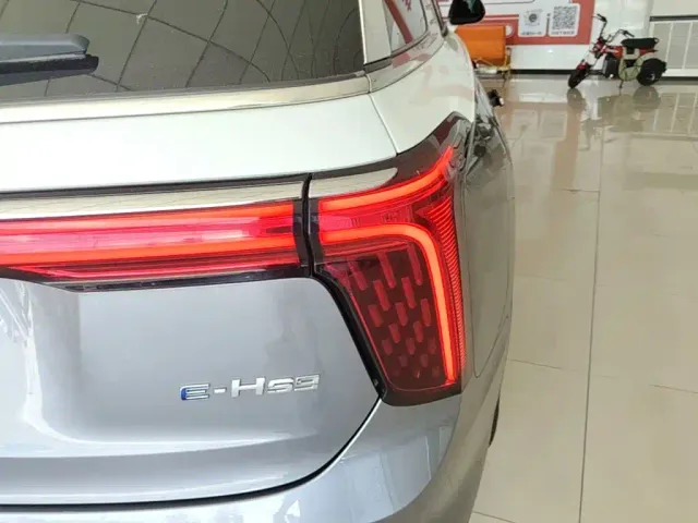 Hongqi E-HS9 — Фото автомобиля 7