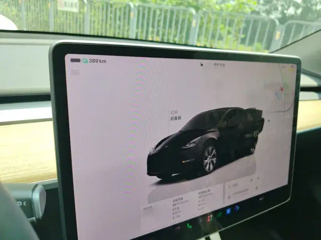 Tesla Model Y — Фото автомобиля 18
