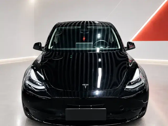 Tesla Model Y — Фото автомобиля 2