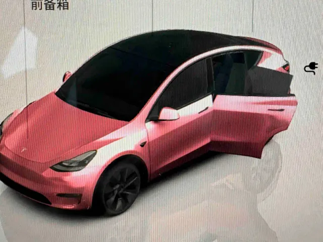 Tesla Model Y — Фото автомобиля 10