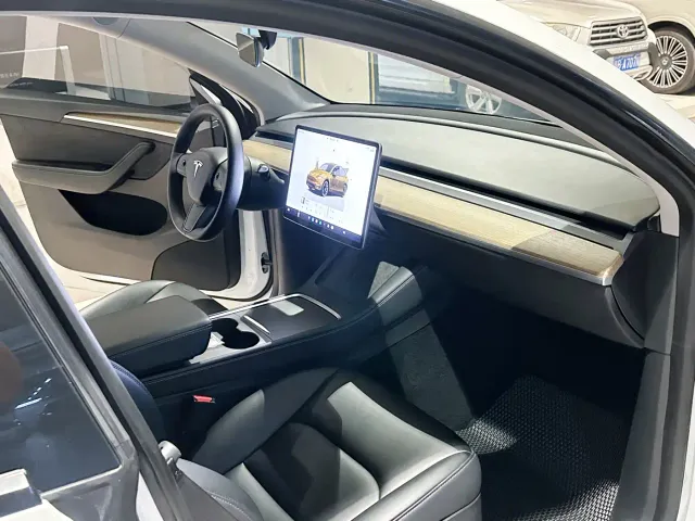 Tesla Model Y — Фото автомобиля 11