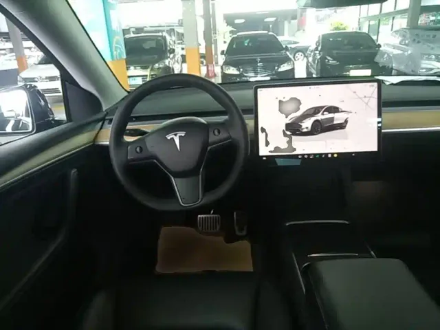 Tesla Model Y — Фото автомобиля 10
