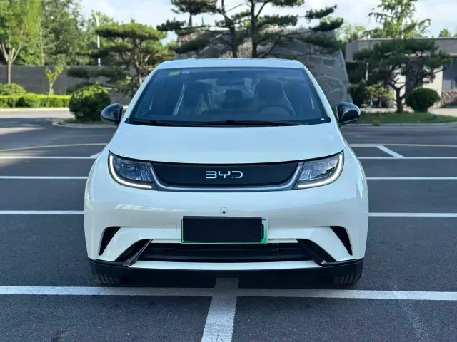 BYD Dolphin — Фото автомобиля 2