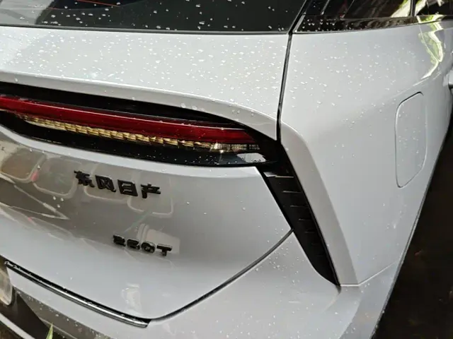 Venucia Venucia Big V 2021 260T Idol Edition — Фото автомобиля 23
