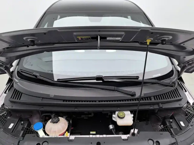 BYD Dolphin — Фото автомобиля 6