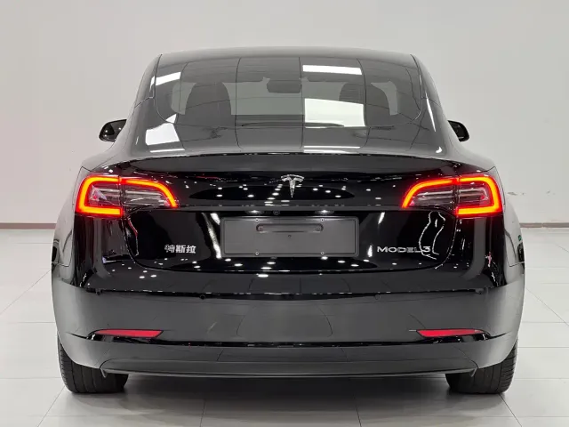 Tesla Model 3 — Фото автомобиля 12