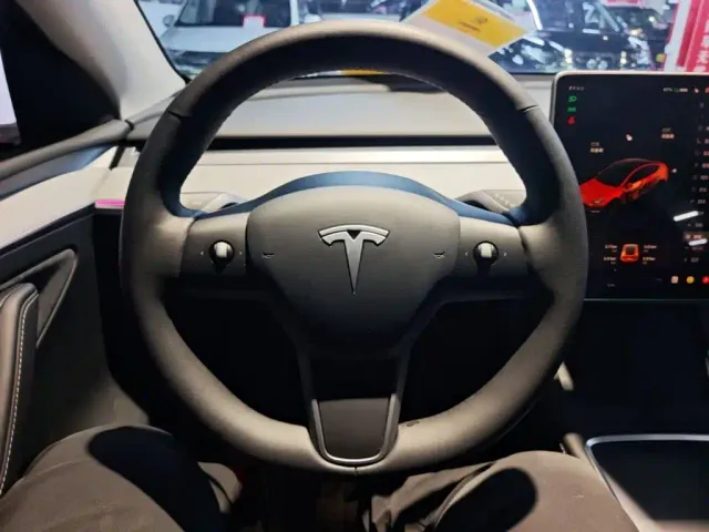 Tesla Model Y — Фото автомобиля 10