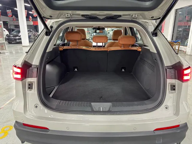 Haval Xiaolong MAX — Фото автомобиля 11