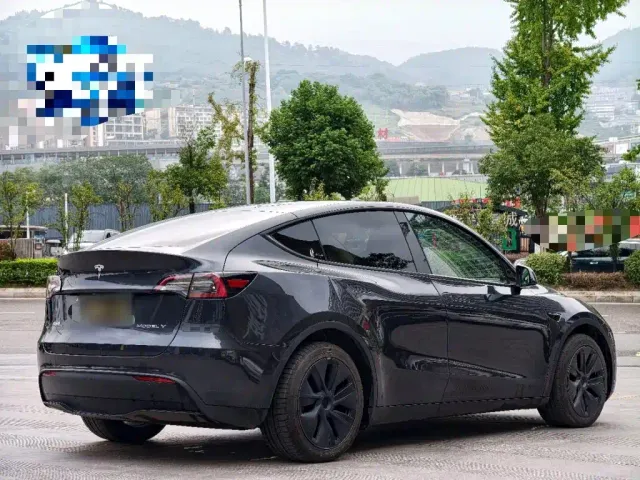 Tesla Model Y — Фото автомобиля 6