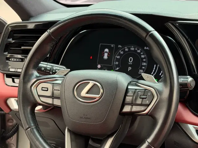 Lexus RX — Фото автомобиля 17