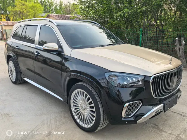 Mercedes-Benz GLS-Class — Фото автомобиля 3