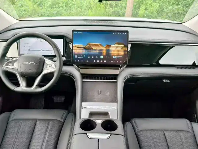 BYD M9 — Фото автомобиля 9