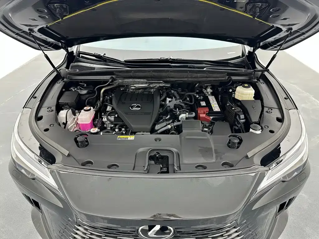 Lexus Lexus RX 2025 300 4WD Premium Edition — Фото автомобиля 19
