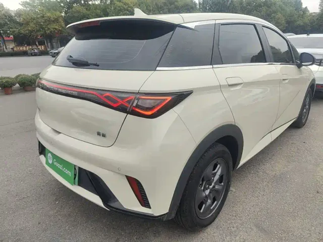 BYD Dolphin — Фото автомобиля 6