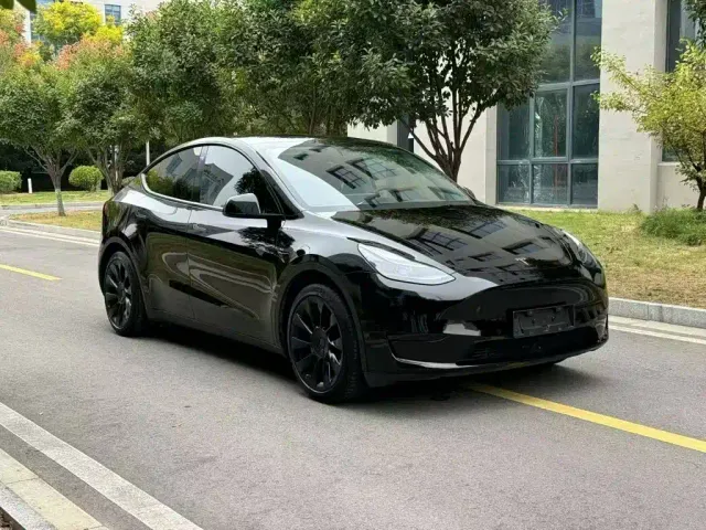 Tesla Model Y — Фото автомобиля 3