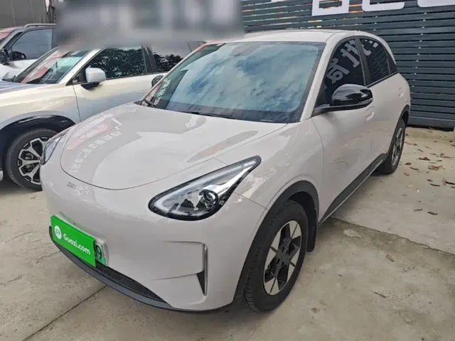 Фотография автомобиля — Geely Starry Wish