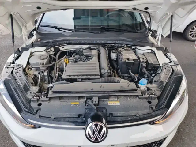 Volkswagen Lamando — Фото автомобиля 19