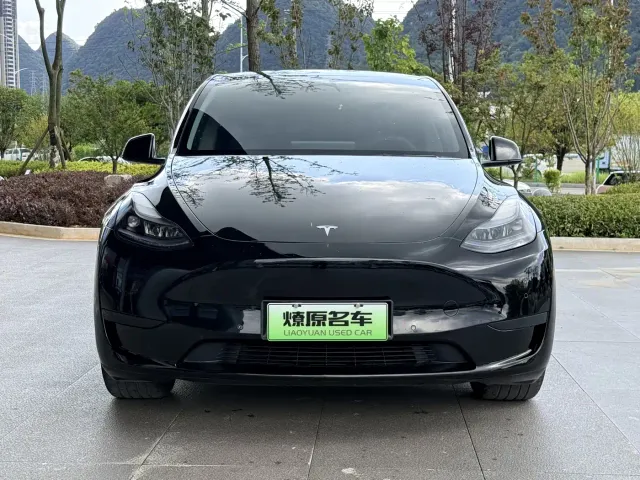 Tesla Model Y — Фото автомобиля 2