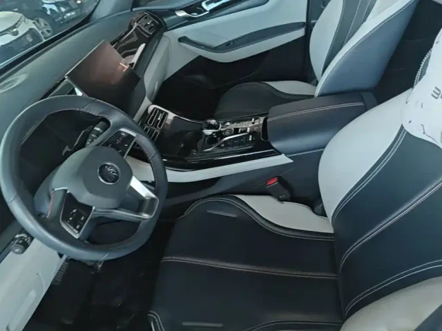 BYD Qin PLUS — Фото автомобиля 14
