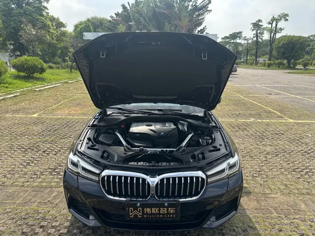 BMW 5 Series — Фото автомобиля 20