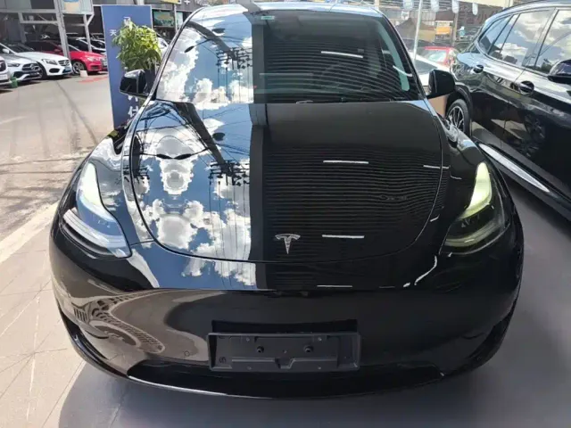 Tesla Model Y — Фото автомобиля 2