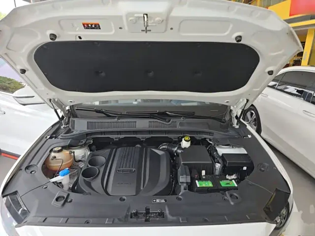 Geely Boyue — Фото автомобиля 19