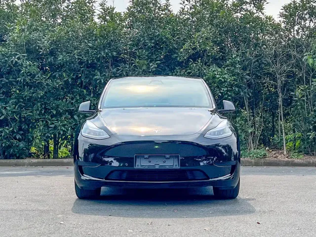 Tesla Model Y — Фото автомобиля 2