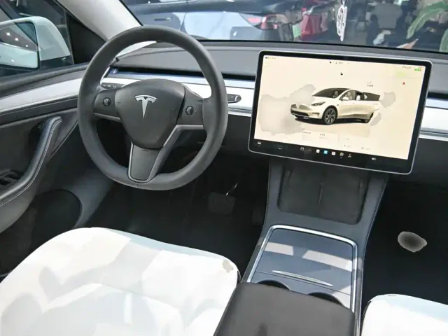 Tesla Model Y — Фото автомобиля 10