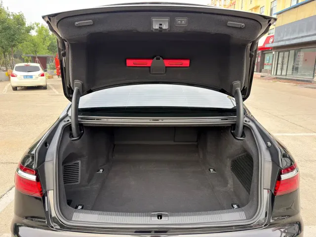 Audi A8 — Фото автомобиля 13