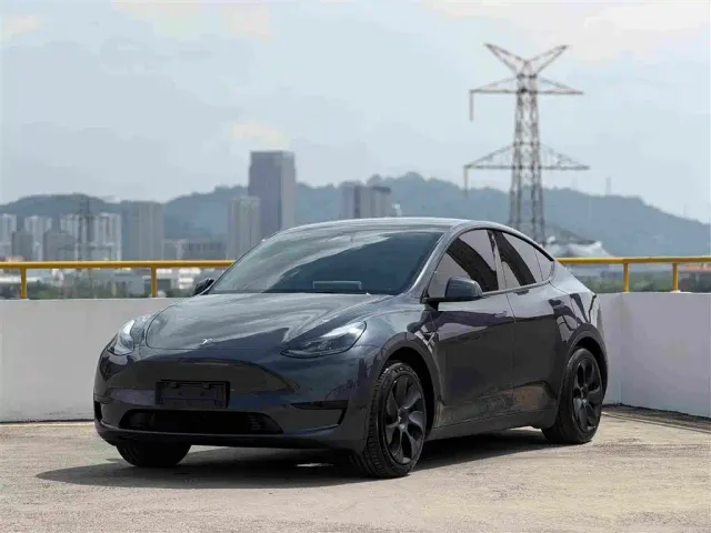 Tesla Model Y — Фото автомобиля 21
