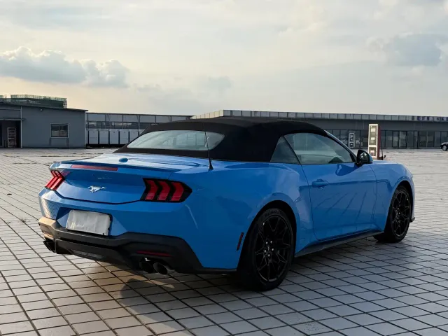 Ford Mustang — Фото автомобиля 11
