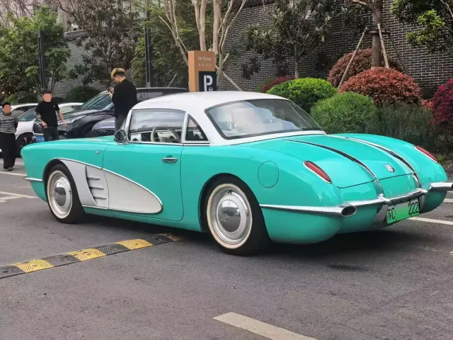 SONGSAN MOTORS SS DOLPHIN — Фото автомобиля 6