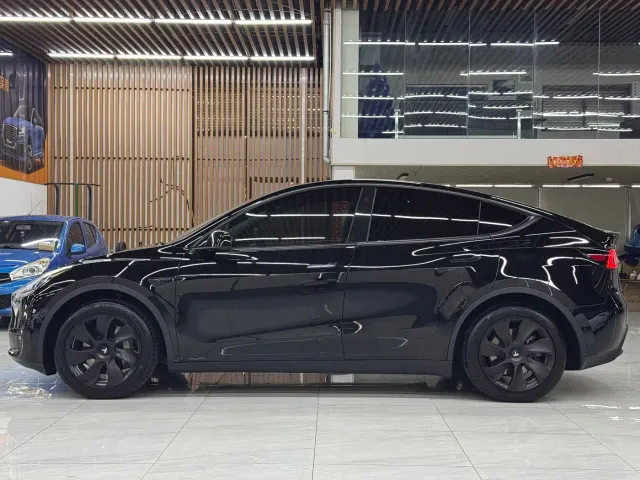 Tesla Model Y — Фото автомобиля 3