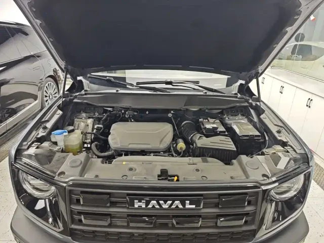 Haval Big Dog — Фото автомобиля 19