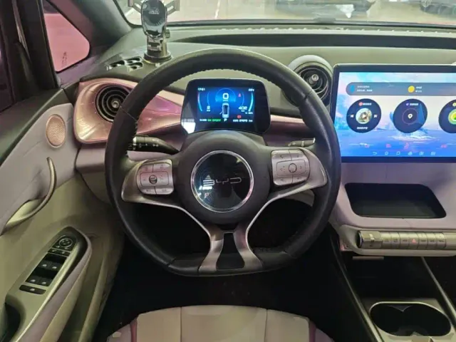 BYD Dolphin — Фото автомобиля 10