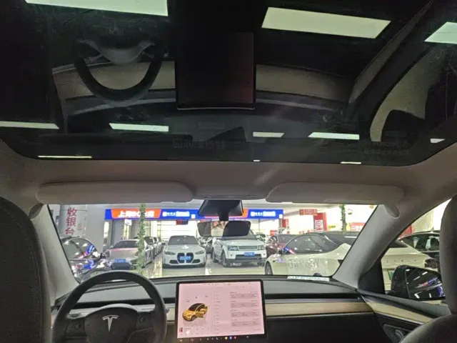 Tesla Model Y — Фото автомобиля 17