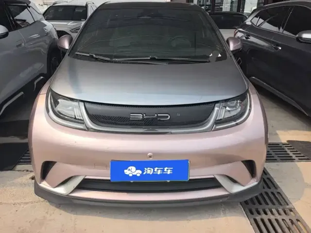 BYD Dolphin 2021 401km Knight Edition — Фото автомобиля 2