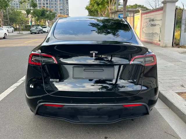 Tesla Model Y — Фото автомобиля 13
