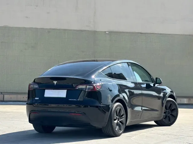 Tesla Model Y — Фото автомобиля 10