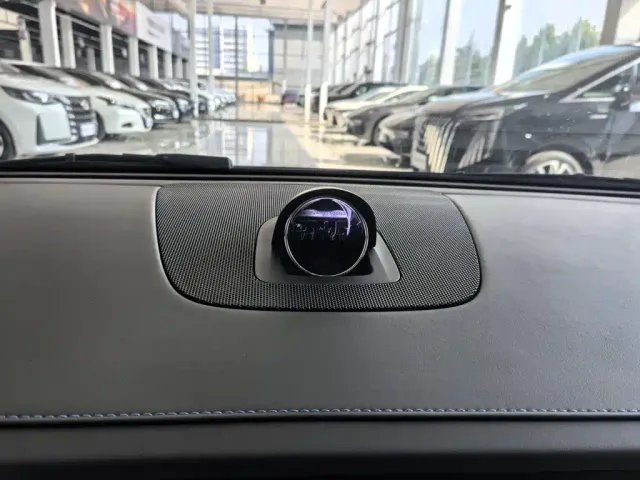 Luxeed S7 — Фото автомобиля 13
