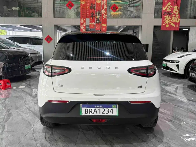 Geely Starry Wish — Фото автомобиля 23