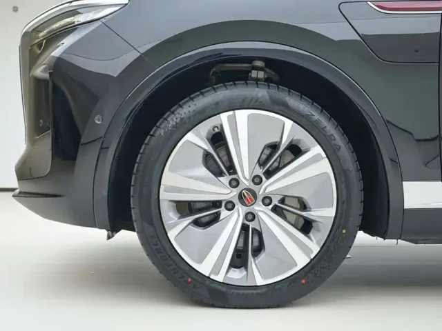 Hongqi E-HS9 — Фото автомобиля 15