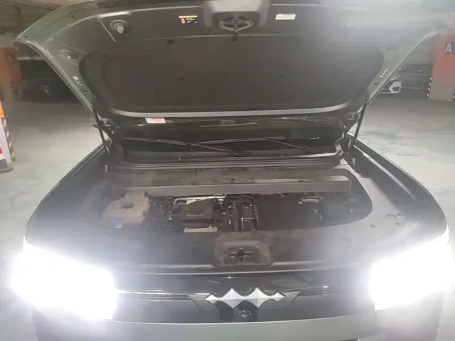 BYD FangChengBao Titanium 7 — Фото автомобиля 19